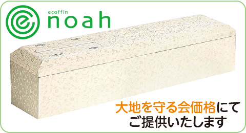 エコフィン ノア エコフィン ノア