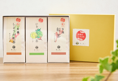 茶三代一 ティーバッグ3点セット-B・(しょうが紅茶・じゃばら紅茶・有機紅茶)