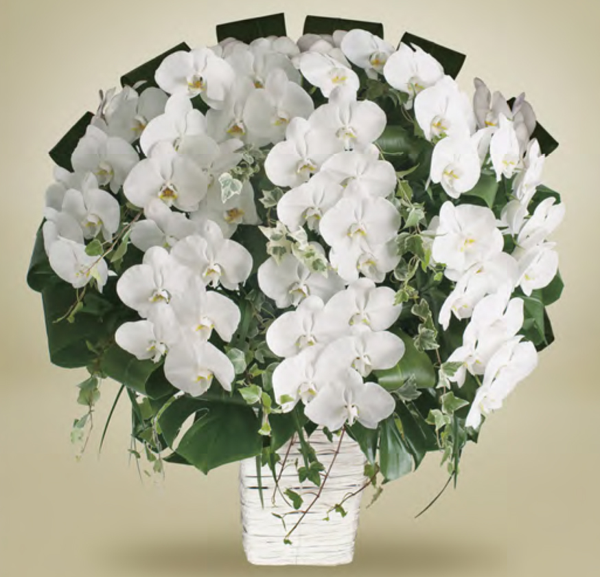 喪主花・夏季限定モデル