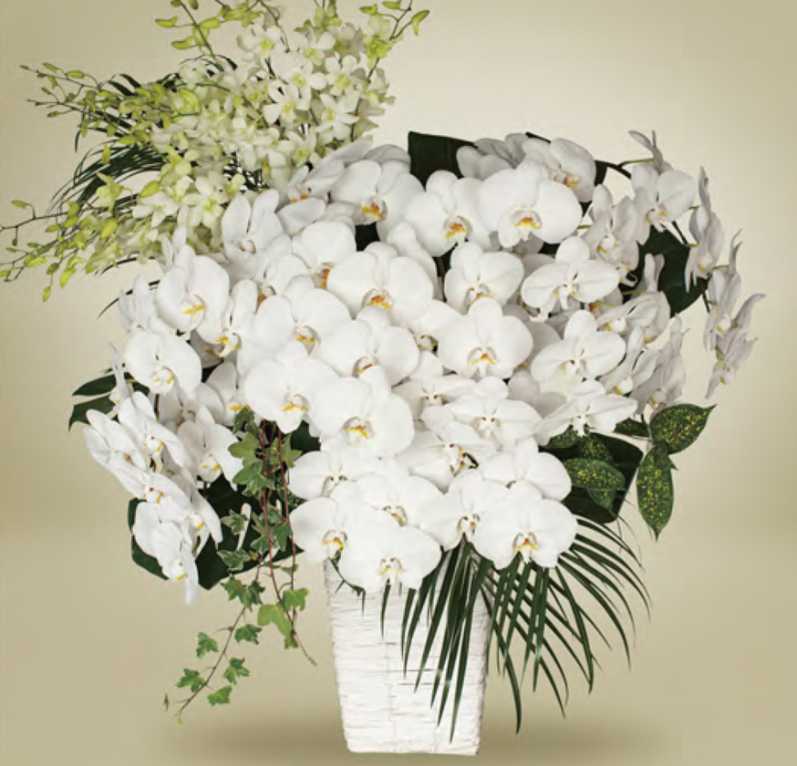 喪主花・夏季限定モデル