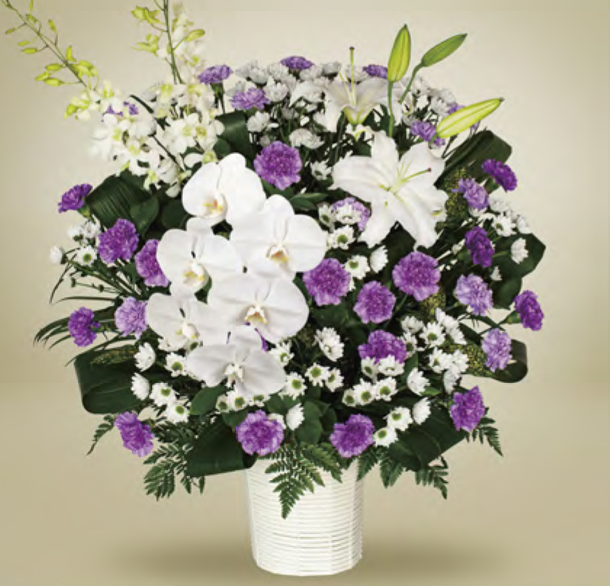 家族花・夏季限定モデル