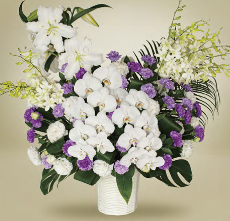 家族花・夏季限定モデル