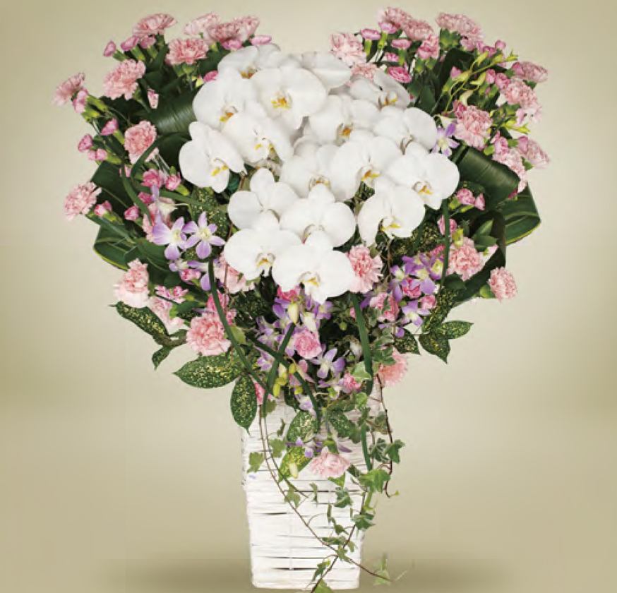 家族花・夏季限定モデル