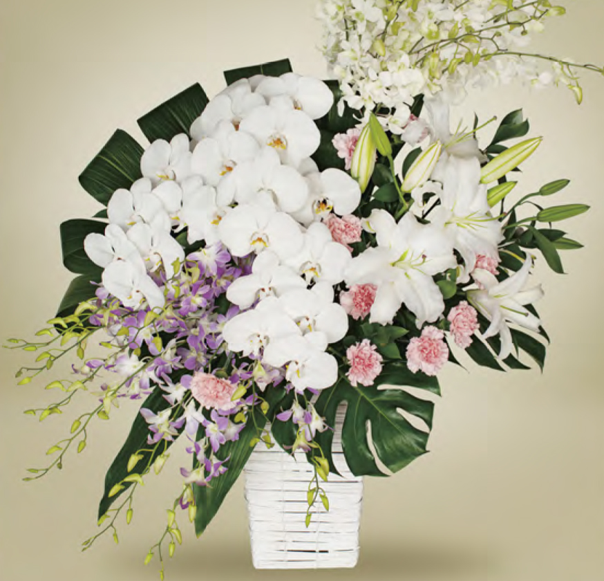 家族花・夏季限定モデル